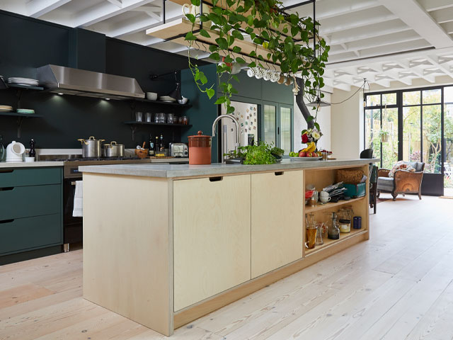 Eco-Friendly Kitchen Cabinets in a bright modern kitchen: light wood island with open shelving, hanging plants, and a steel range
