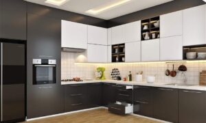Best kitchen cabinet colors Canada in a modern black and white kitchen