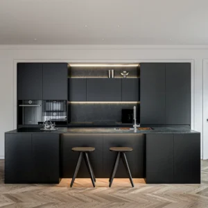 ready to assemble kitchen cabinets in a modern black minimalist kitchen